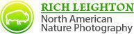 NANP2021LOGO193Green2