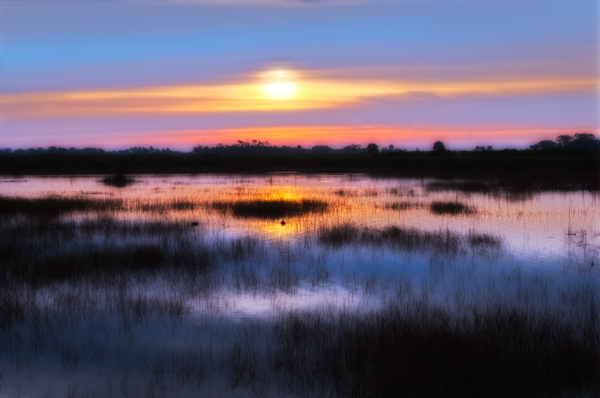 The Winter Wonderland of Florida’s North Gulf Coast