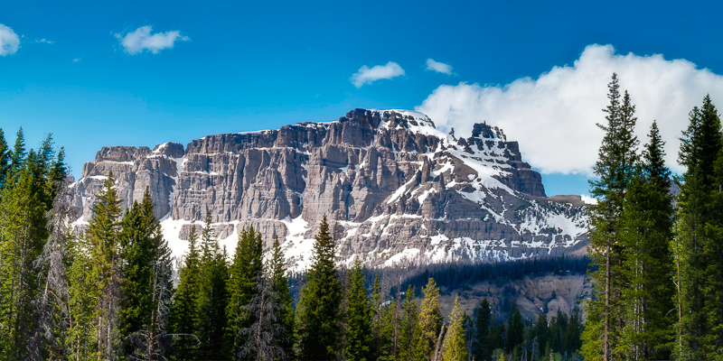 Snow in Summer – Shoshone National Forest