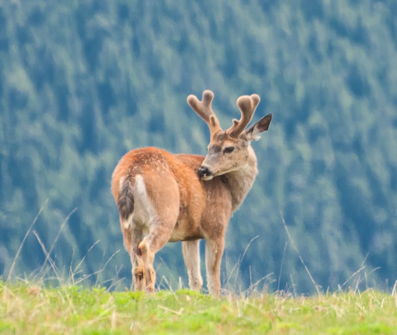 Looking Back at Summer: Twelve New Images!