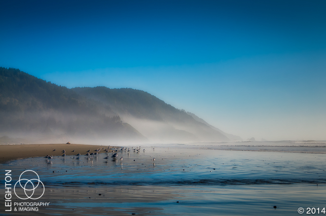 Misty Late Afternoon on Crescent Beach