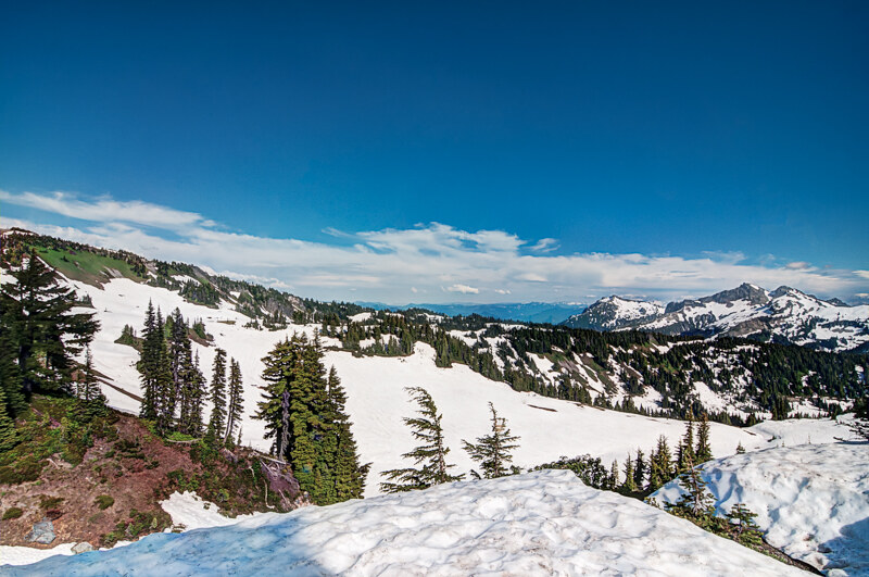 Mountain Nature of the Evergreen State