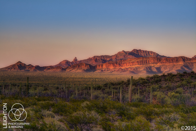 Southern Arizona Landscape