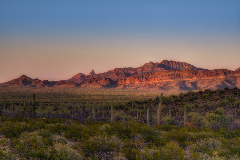 Interesting Nature Facts #36 – Sonoran Desert
