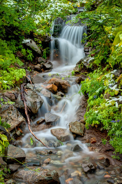Mountain Stream