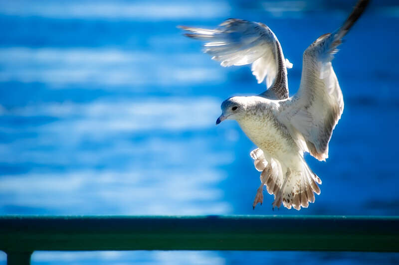 notes from the field blog