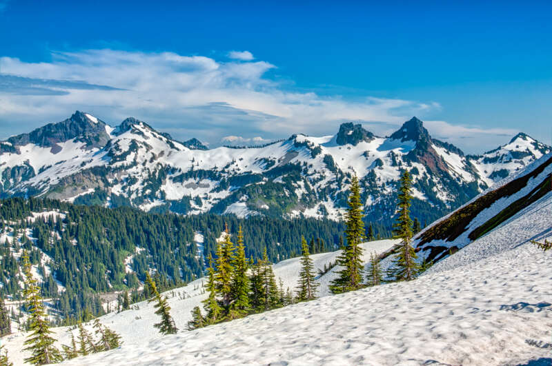 notes from the field blog