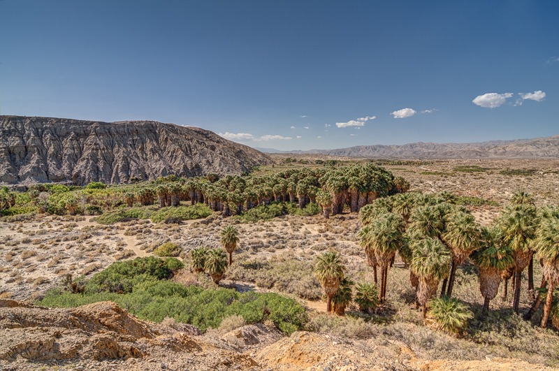 Coachella Valley Oasis