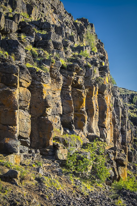 Lichen-Covered Basalt Cliff in Cowiche Canyon