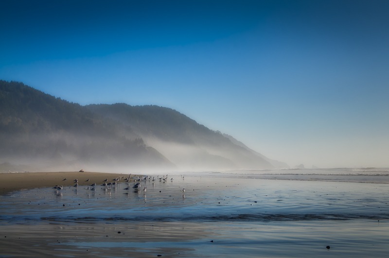 Misty Late Afternoon on Crescent Beach