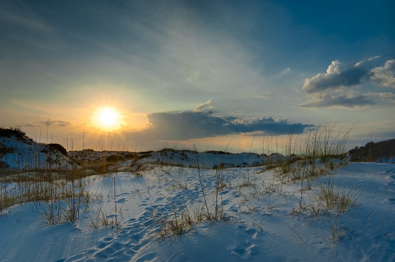 Sand Dunes of the St. Joeseph Peninsula