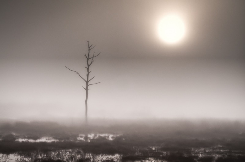 Foggy Dawn and the Burning Sun