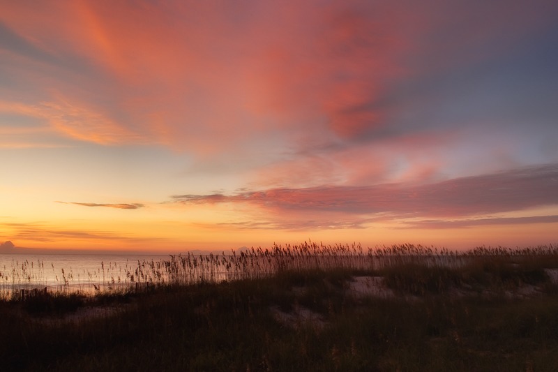Sea Oats & Sunrise
