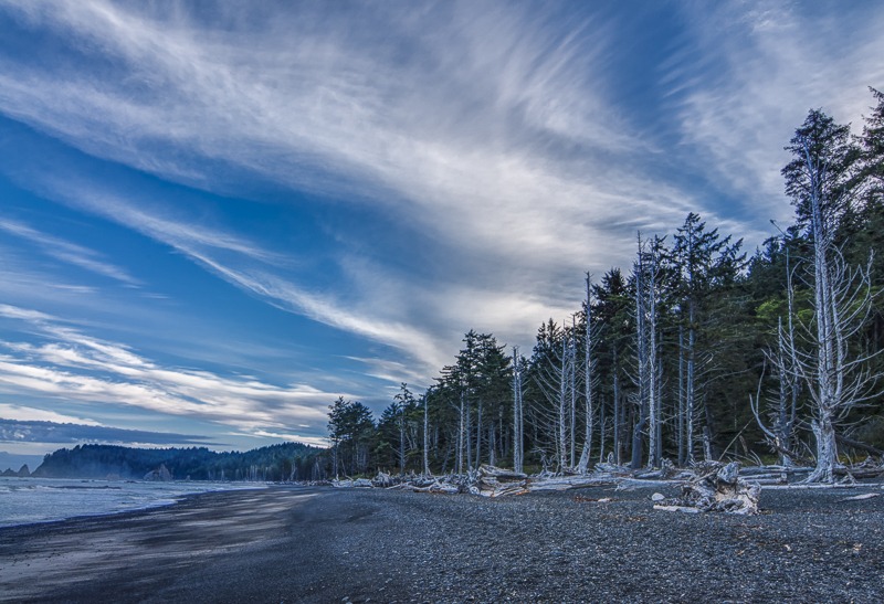 Rialto Beach at Dawn
