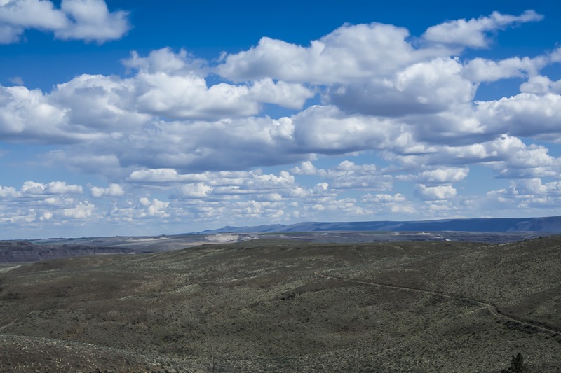 _DSC1448-Edit