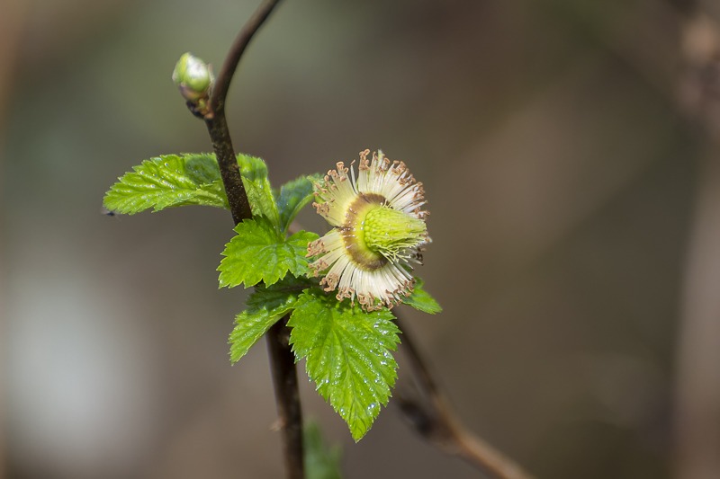 _DSC0204-Edit