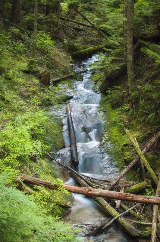 WestTigerMountainStream
