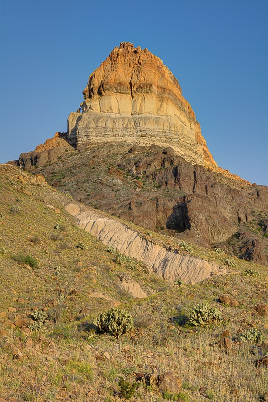 Cerro Castellan - also known as Castolon Peak or Castellan Peak, is a conical volcanic mountain in West Texas that rises 1000 feet above the desert floor (3,293 feet above sea level) in Big Bend National Park. Cerro Castellan itself is part of an ancient series of summits once known as the Corazones Peaks that has since succumbed to millennia of erosion by wind, precipitation, searing heat and bitterly cold winters. Geologically, this ancient mountain range remnant is a high stack of volcanic rocks, including ash, lava, and tuffaceous rocks. It is capped by a dense lava flow underlain by various tuffs and basalts. A somewhat northwest fault cuts the eastern face of Cerro Castellan. Although little vegetation grows on the sheer cliffs and steep, pointed profile of its peak, the lower slopes of Cerro Castellan support a sparse growth of Chihuahuan Desert scrub, including most prominently such characteristic species as creosote bush and ocotillo.