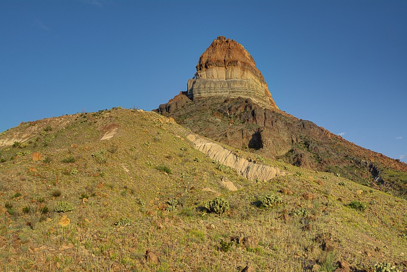Cerro Castellan - also known as Castolon Peak or Castellan Peak, is a conical volcanic mountain in West Texas that rises 1000 feet above the desert floor (3,293 feet above sea level) in Big Bend National Park. Cerro Castellan itself is part of an ancient series of summits once known as the Corazones Peaks that has since succumbed to millennia of erosion by wind, precipitation, searing heat and bitterly cold winters. Geologically, this ancient mountain range remnant is a high stack of volcanic rocks, including ash, lava, and tuffaceous rocks. It is capped by a dense lava flow underlain by various tuffs and basalts. A somewhat northwest fault cuts the eastern face of Cerro Castellan. Although little vegetation grows on the sheer cliffs and steep, pointed profile of its peak, the lower slopes of Cerro Castellan support a sparse growth of Chihuahuan Desert scrub, including most prominently such characteristic species as creosote bush and ocotillo.
