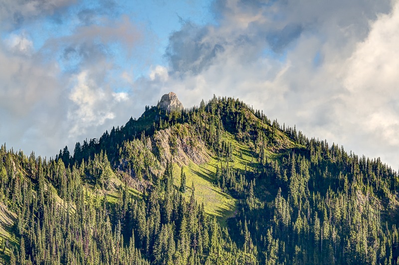 Hurricane Ridge Trail