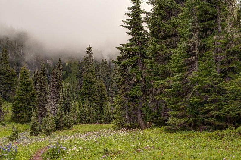 On the Spray Park Trail