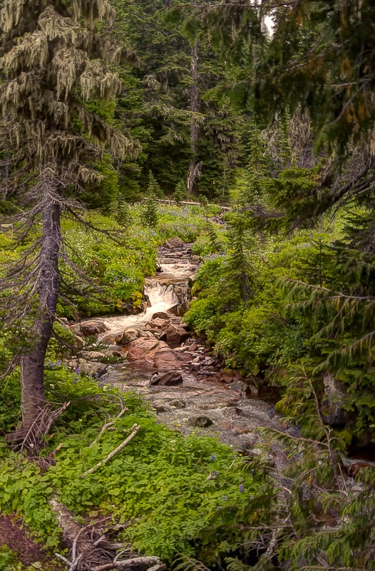 Spray Creek